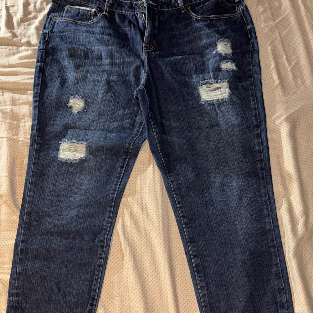 Canyon River Distressed Blue Jeans for Women